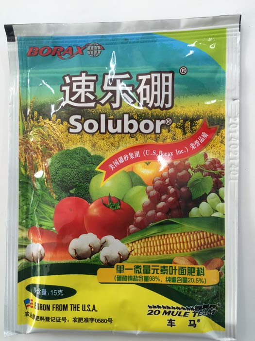 佳能