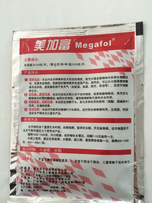 佳能