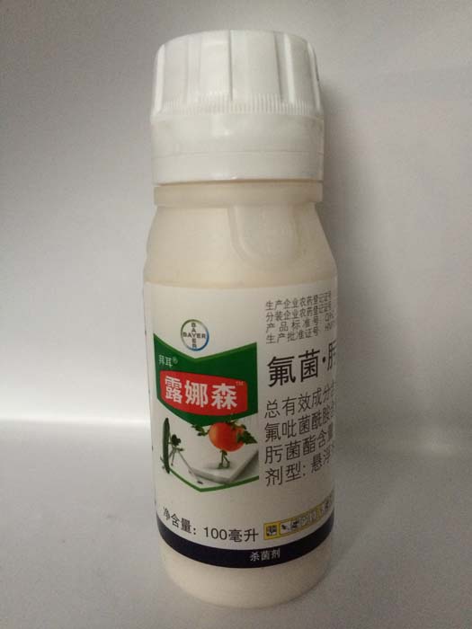 佳能