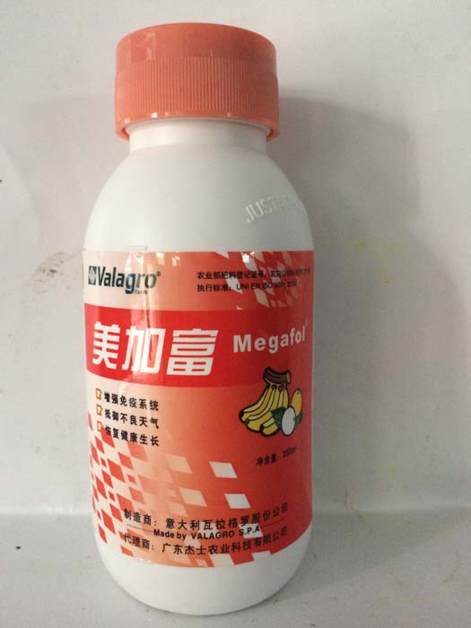 佳能