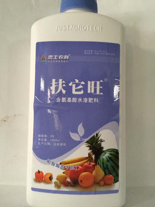 佳能